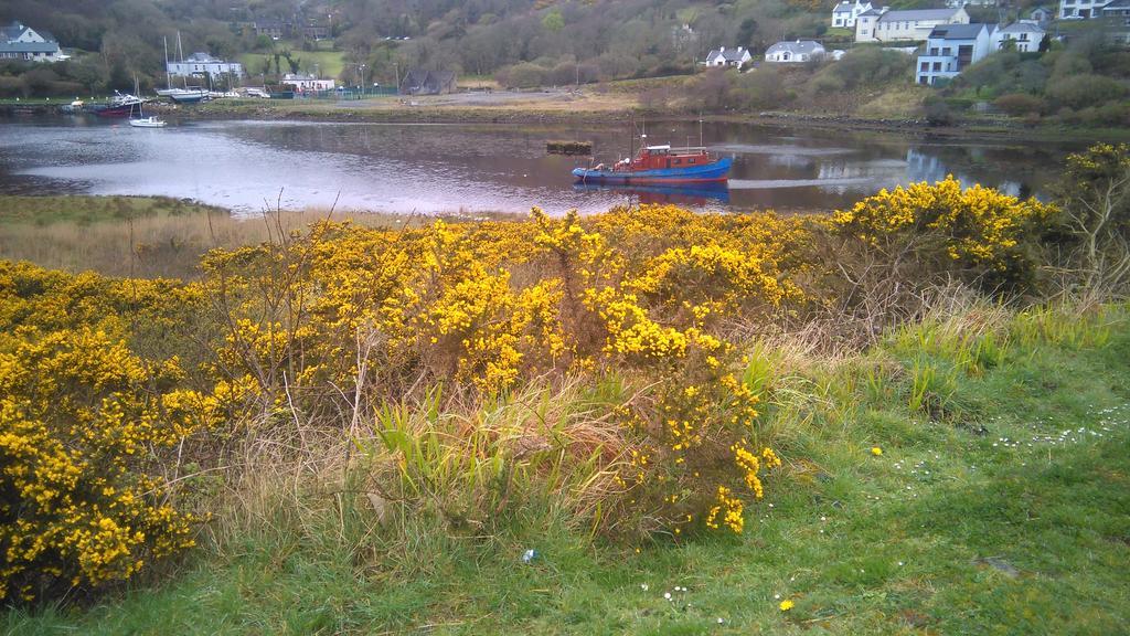 Clifden Hostel Buitenkant foto